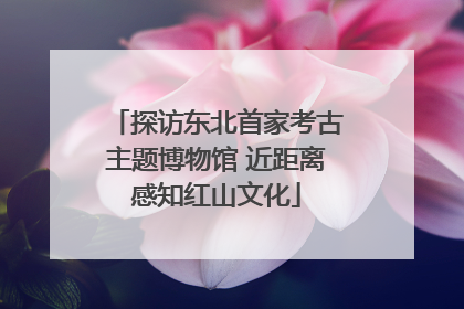 探访东北首家考古主题博物馆 近距离感知红山文化