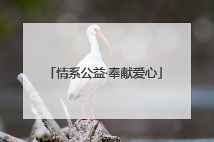 情系公益·奉献爱心