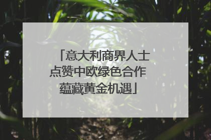 意大利商界人士点赞中欧绿色合作蕴藏黄金机遇