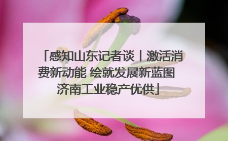 感知山东记者谈丨激活消费新动能 绘就发展新蓝图 济南工业稳产优供