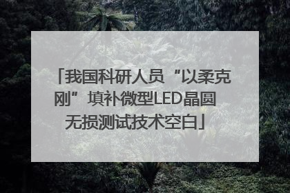 我国科研人员“以柔克刚”填补微型LED晶圆无损测试技术空白