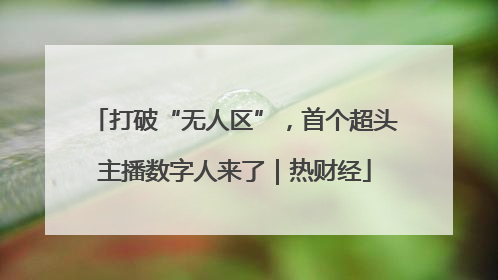 打破“无人区”，首个超头主播数字人来了｜热财经