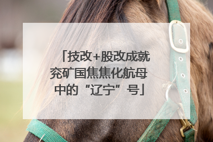 技改+股改成就兖矿国焦焦化航母中的“辽宁”号