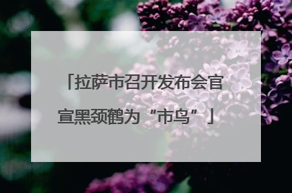 拉萨市召开发布会官宣黑颈鹤为“市鸟”