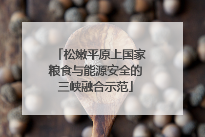 松嫩平原上国家粮食与能源安全的三峡融合示范