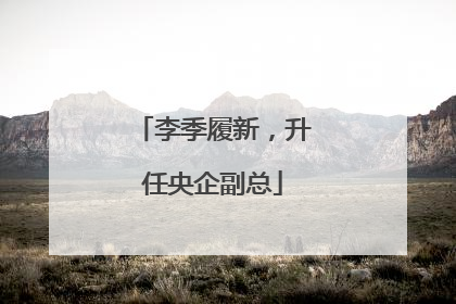 李季履新，升任央企副总