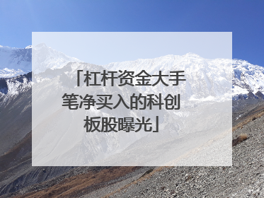 杠杆资金大手笔净买入的科创板股曝光