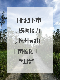 枇杷下市，杨梅接力，杭州超山千亩杨梅正“红妆”