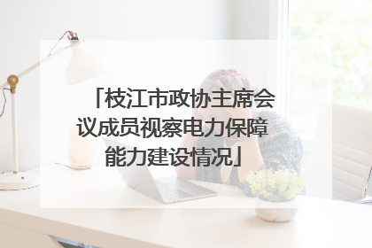 枝江市政协主席会议成员视察电力保障能力建设情况