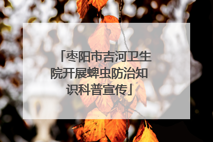 枣阳市吉河卫生院开展蜱虫防治知识科普宣传