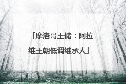 摩洛哥王储：阿拉维王朝低调继承人