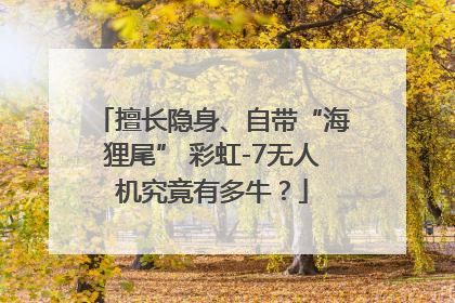 擅长隐身、自带“海狸尾” 彩虹-7无人机究竟有多牛？