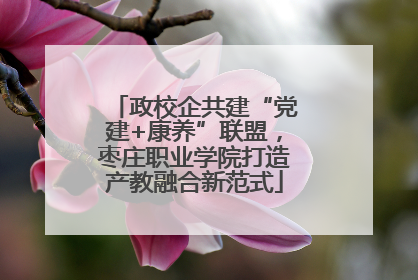 政校企共建“党建+康养”联盟，枣庄职业学院打造产教融合新范式