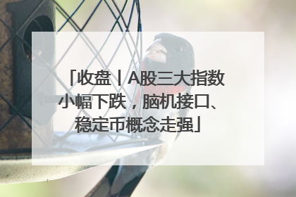 收盘丨A股三大指数小幅下跌，脑机接口、稳定币概念走强