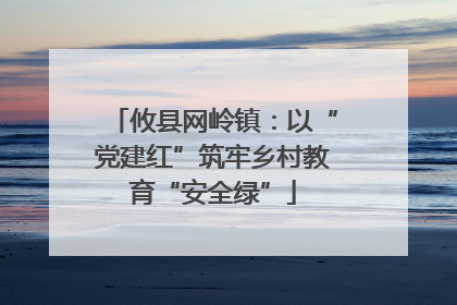 攸县网岭镇：以“党建红”筑牢乡村教育“安全绿”
