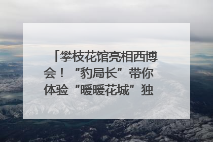 攀枝花馆亮相西博会！“豹局长”带你体验“暖暖花城”独特魅力｜西博视界