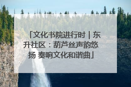 文化书院进行时｜东升社区：葫芦丝声韵悠扬 奏响文化和谐曲