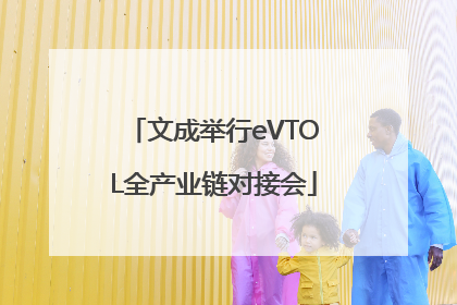 文成举行eVTOL全产业链对接会