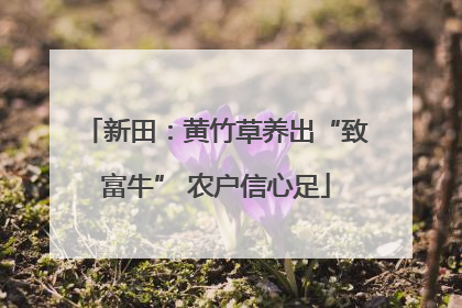 新田：黄竹草养出“致富牛” 农户信心足