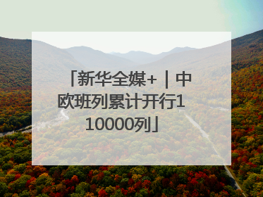 新华全媒+｜中欧班列累计开行110000列
