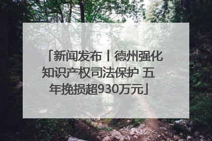 新闻发布丨德州强化知识产权司法保护 五年挽损超930万元