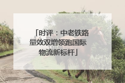 时评：中老铁路量效双增领跑国际物流新标杆