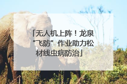 无人机上阵！龙泉“飞防”作业助力松材线虫病防治