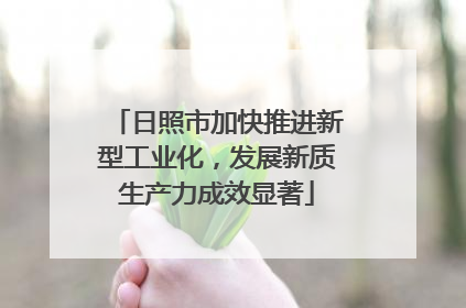 日照市加快推进新型工业化，发展新质生产力成效显著