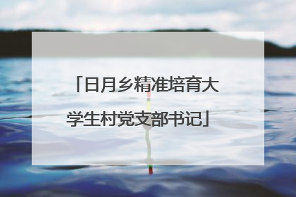 日月乡精准培育大学生村党支部书记