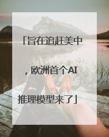 旨在追赶美中，欧洲首个AI推理模型来了