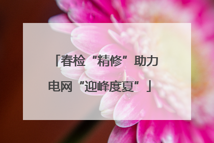 春检“精修”助力电网“迎峰度夏”