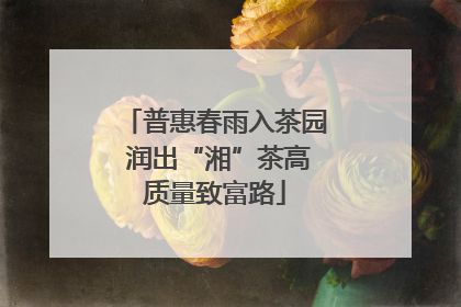 普惠春雨入茶园 润出“湘”茶高质量致富路