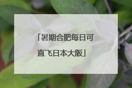 暑期合肥每日可直飞日本大阪
