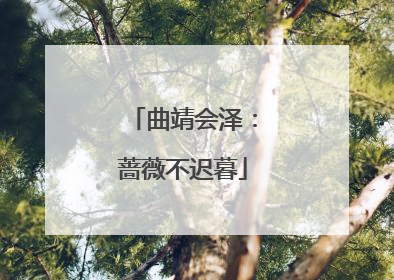 曲靖会泽：蔷薇不迟暮