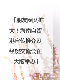 朋友圈又扩大！海南自贸港宣传推介及经贸交流会在大阪举办