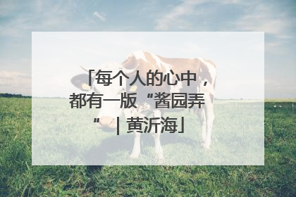 每个人的心中，都有一版“酱园弄”｜黄沂海