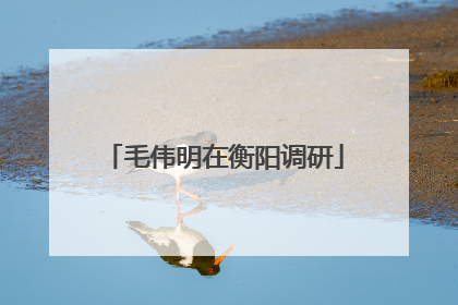 毛伟明在衡阳调研