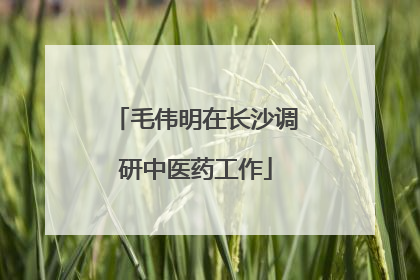 毛伟明在长沙调研中医药工作