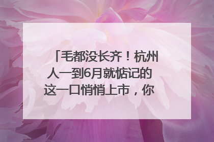 毛都没长齐！杭州人一到6月就惦记的这一口悄悄上市，你打算尝鲜吗？
