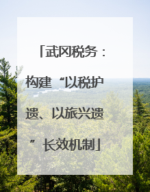 武冈税务：构建“以税护遗、以旅兴遗”长效机制