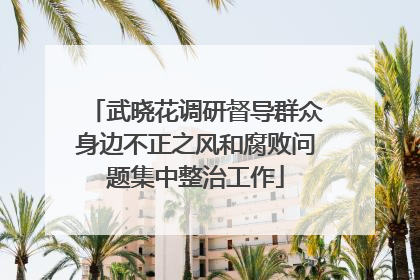 武晓花调研督导群众身边不正之风和腐败问题集中整治工作