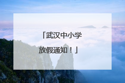 武汉中小学放假通知！