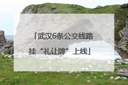 武汉6条公交线路挂“礼让牌”上线