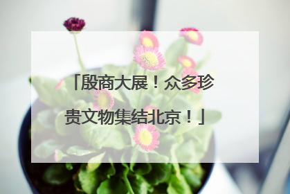 殷商大展！众多珍贵文物集结北京！