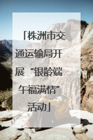 株洲市交通运输局开展“银龄端午福满情”活动