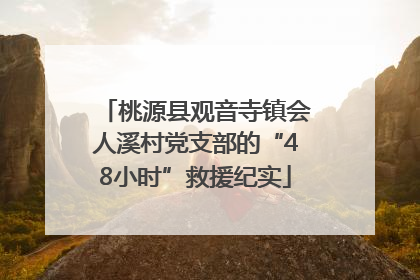 桃源县观音寺镇会人溪村党支部的“48小时”救援纪实