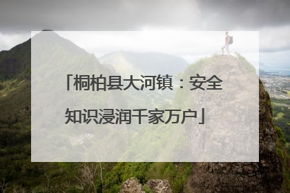 桐柏县大河镇：安全知识浸润千家万户