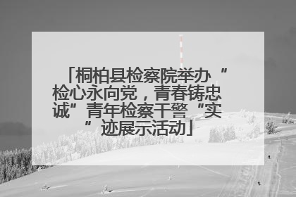 桐柏县检察院举办“检心永向党，青春铸忠诚”青年检察干警“实”迹展示活动