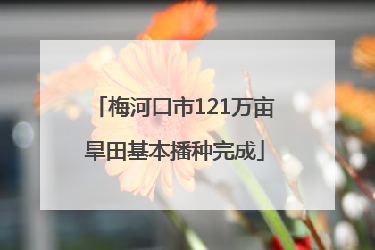 梅河口市121万亩旱田基本播种完成