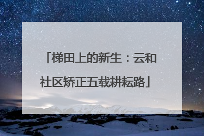 梯田上的新生：云和社区矫正五载耕耘路